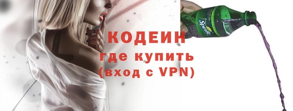 мдпв Вяземский