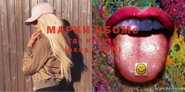 мдпв Вяземский