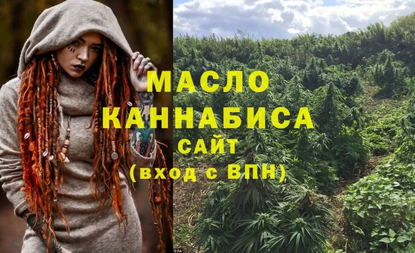 мдпв Вяземский